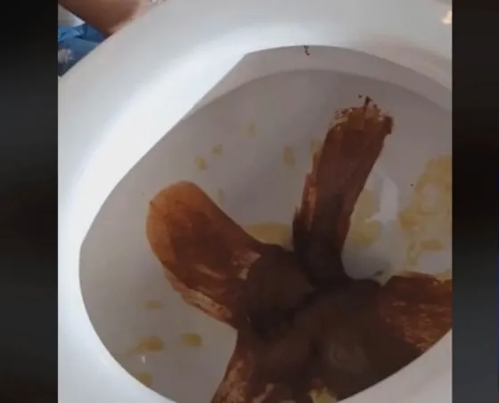 Video: Comen mousse de chocolate directamente en el inodoro