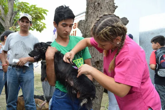 Conocé qué barrios visitarán los quirófanos móviles