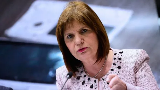 Bullrich: "No se puede condenar eternamente a las Fuerzas Armadas"