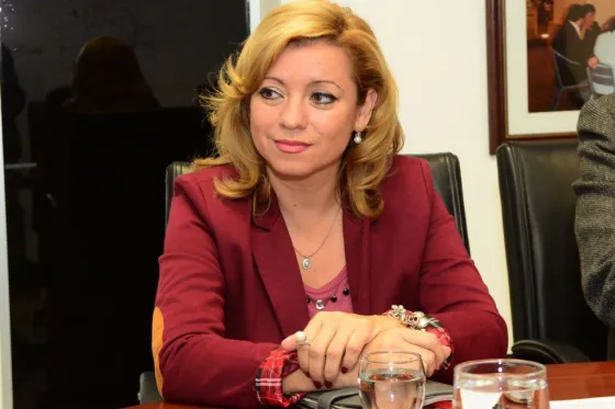 Para Fonseca, Godoy cuestiona a Urtubey para quedar mejor posicionado
