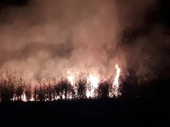 Se registró un gran incendio en barrio San Carlos