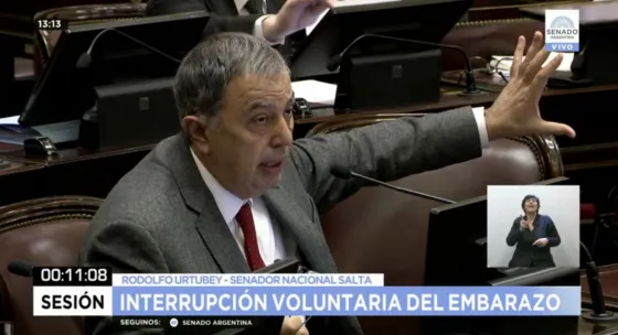 Rodolfo Urtubey : “En un abuso intrafamiliar no se puede hablar de violencia”. VIDEO