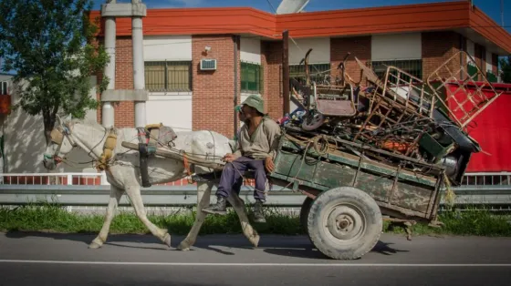 Carreros no se sumarán a la planta municipal