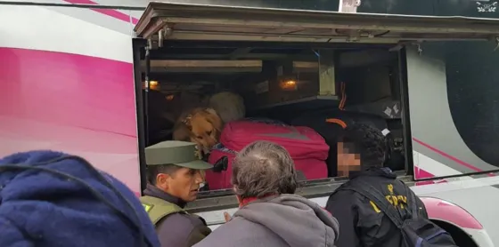 Lo detuvieron con 29 kilos de marihuana