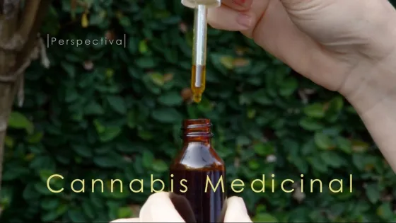 El Gobierno promulgó la ley de cannabis medicinal