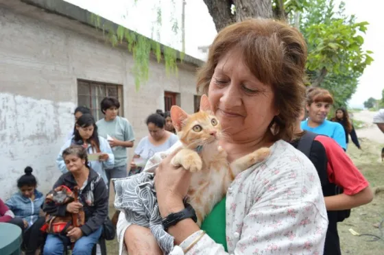 Conocé como obtener turnos para castrar a tu mascota