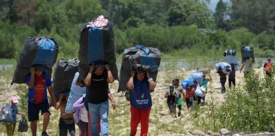 Alertan por la fuerte disminución del bagayeo en Salta
