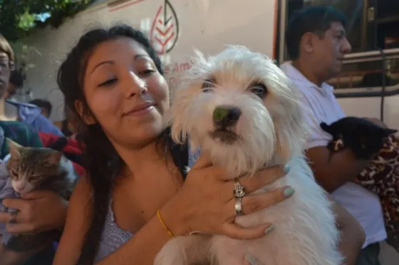 Conocé en que barrios se realizarán vacunaciones y castraciones gratuitas