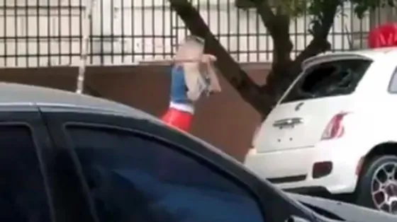 ¿Sol Pérez destrozó un auto a palazos? VIDEO