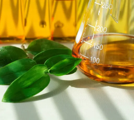 Trump podría restringir el biodiésel Argentino