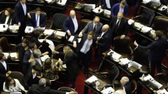 Debate en Diputados: legisladores casi terminan a las trompadas