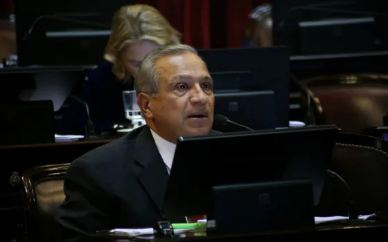 Violencia de género: Romero le quita peso a la responsabilidad institucional