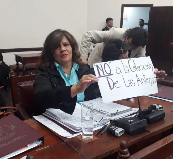 Concejal capitalina cuestionó que solo se debatan proyectos por intereses económicos