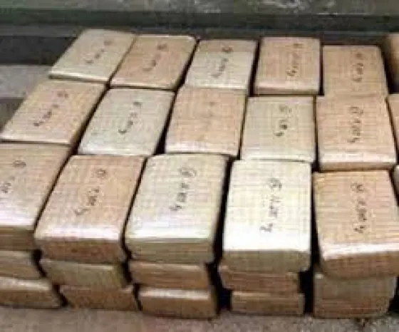 Trasladan más de 40 kilos de cocaína en lonas