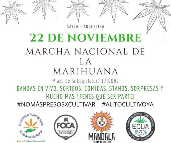 Salta se prepara para otra marcha de la Marihuana