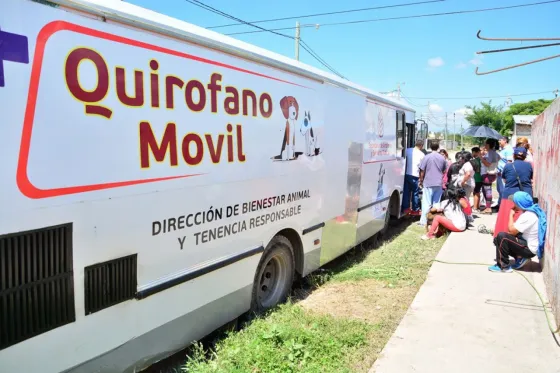 Bienestar animal: conocé donde estarán los quirófanos móviles