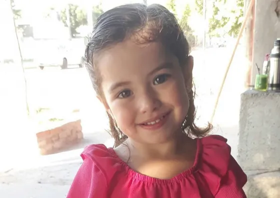 Tenía dos años, la atropellaron y sus padres donaron sus órganos