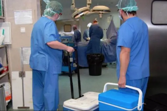 Se concretó el décimo tercer operativo de ablación del año