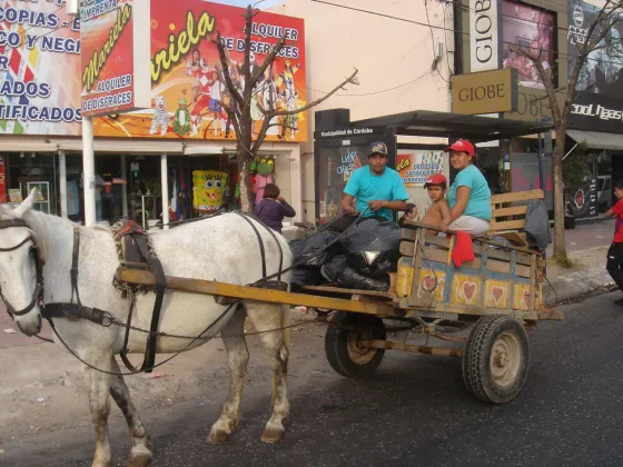 "Hay niños entre las familias de carreros que no tienen DNI"