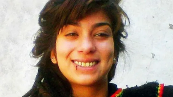 Feroz critica de la OEA a la resolución del caso de Lucia Pérez