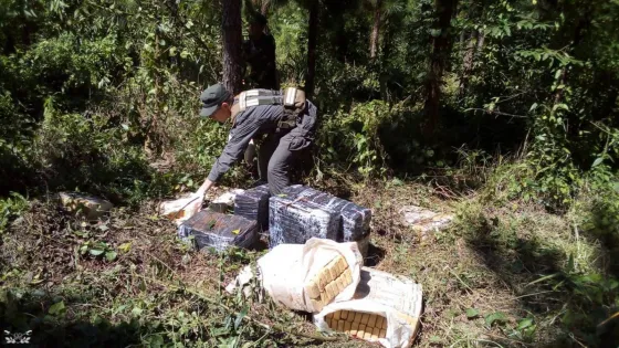 Hallan casi mil kilos de marihuana ocultos bajo malezas