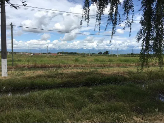 No tienen agua potable y deben convivir con ratas y víboras