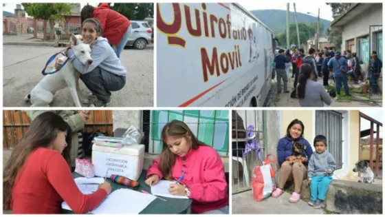 Quirófanos móviles: conocé el cronograma de vacunaciones y castraciones