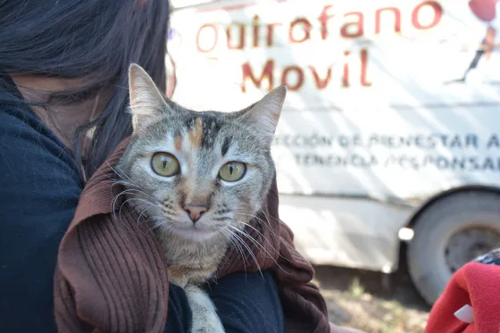 Conocé donde estará el móvil quirúrgico mañana