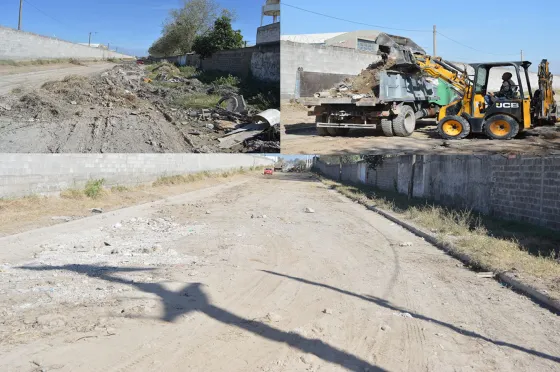 Residuos y arbolado urbano, las principales denuncias ambientales en la ciudad