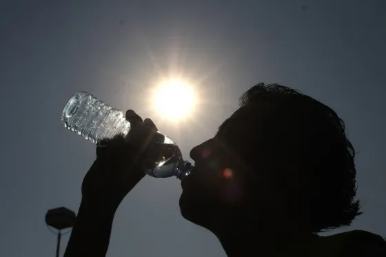 Qué hacer para evitar golpes de calor