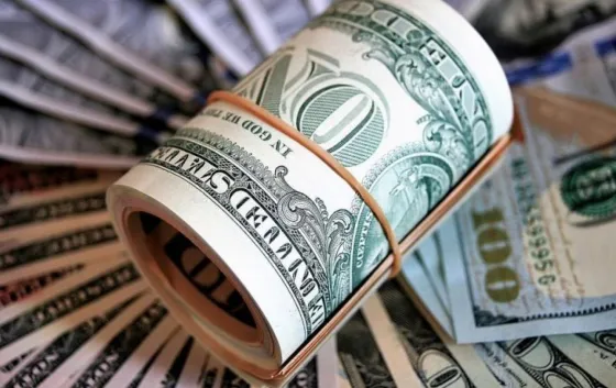 Aseguran que a fin de año, el dólar "no va a bajar de 50 pesos"