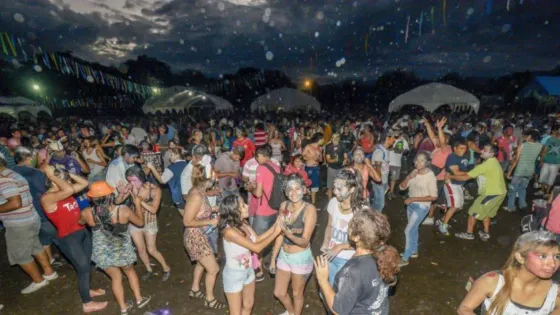 Detuvieron a "la ladrona carpera"