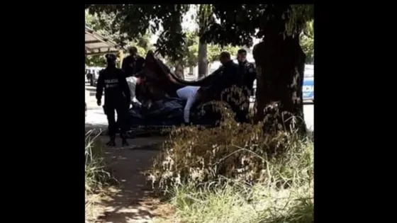 Mató de 185 puñaladas a su esposo por violar a su hija