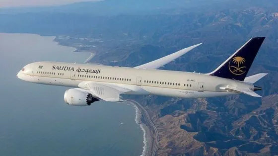 Olvidó a su bebé en el aeropuerto y el avión debió volver a buscarlo