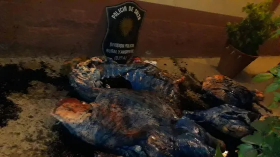 Decomisaron 170 kilos de carne en malas condiciones                 