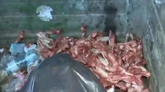 Rosario: Un hallazgo dejaría al descubierto que comercializan carne de perros