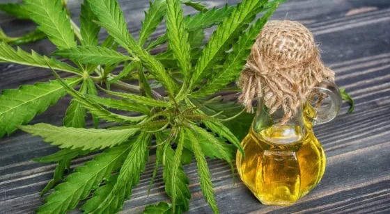 “Sin el aceite de canabbis, mi hijo se estaría babeando por el efecto de las pastillas”