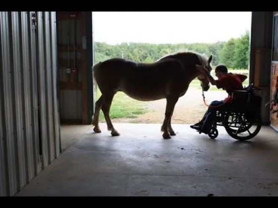 Buscan que una ley de equinoterapia regule la actividad