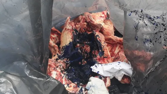 Vendían carne no apta en el barrio Hernando de Lerma