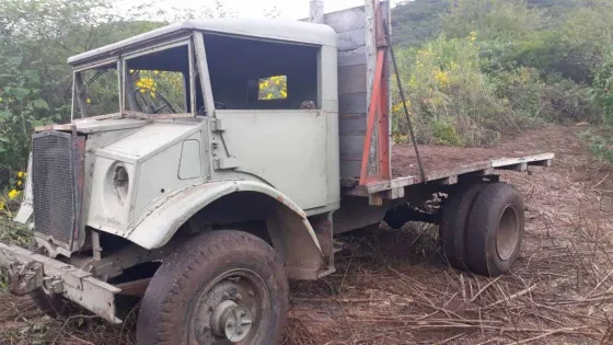 Sorprendieron a tres hombres deforestando el Cerro San Bernardo