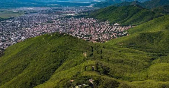Vecinos denuncian que se están sacando árboles del cerro para la obra del nuevo teleférico