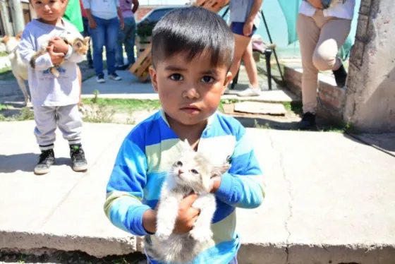 Conocé donde estará el quirófano móvil la próxima semana