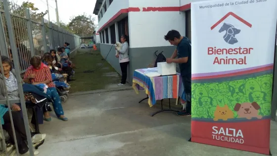 Quirófanos móviles: estarán en siete barrios