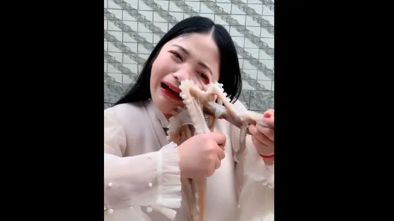 Video: Intentó comerse un pulpo y se le aferró a la cara