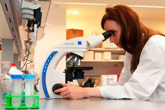 Certifican a la Argentina como país libre de Paludismo