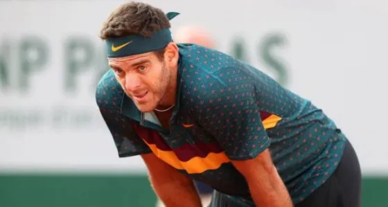 Del Potro se despidió de Roland Garros 