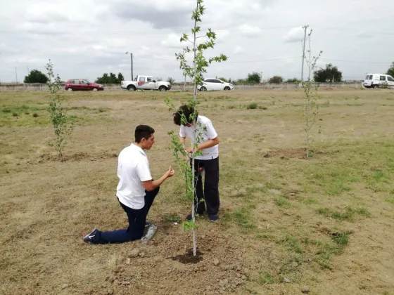 Comienzan las actividades para conmemorar la Semana del Ambiente