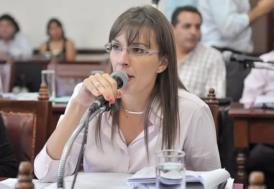 ¿Qué pensas? Buscan aprobar un proyecto para "Foto-Multas Vecinales"