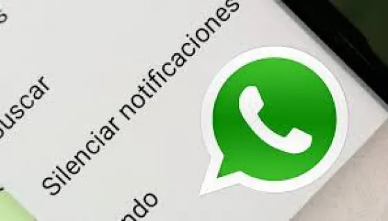Conocé la nueva función de WhatsApp que evitará momentos incómodos