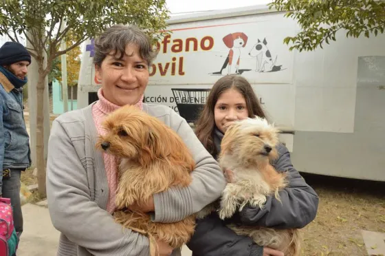 Conocé el cronograma de castraciones y vacunaciones